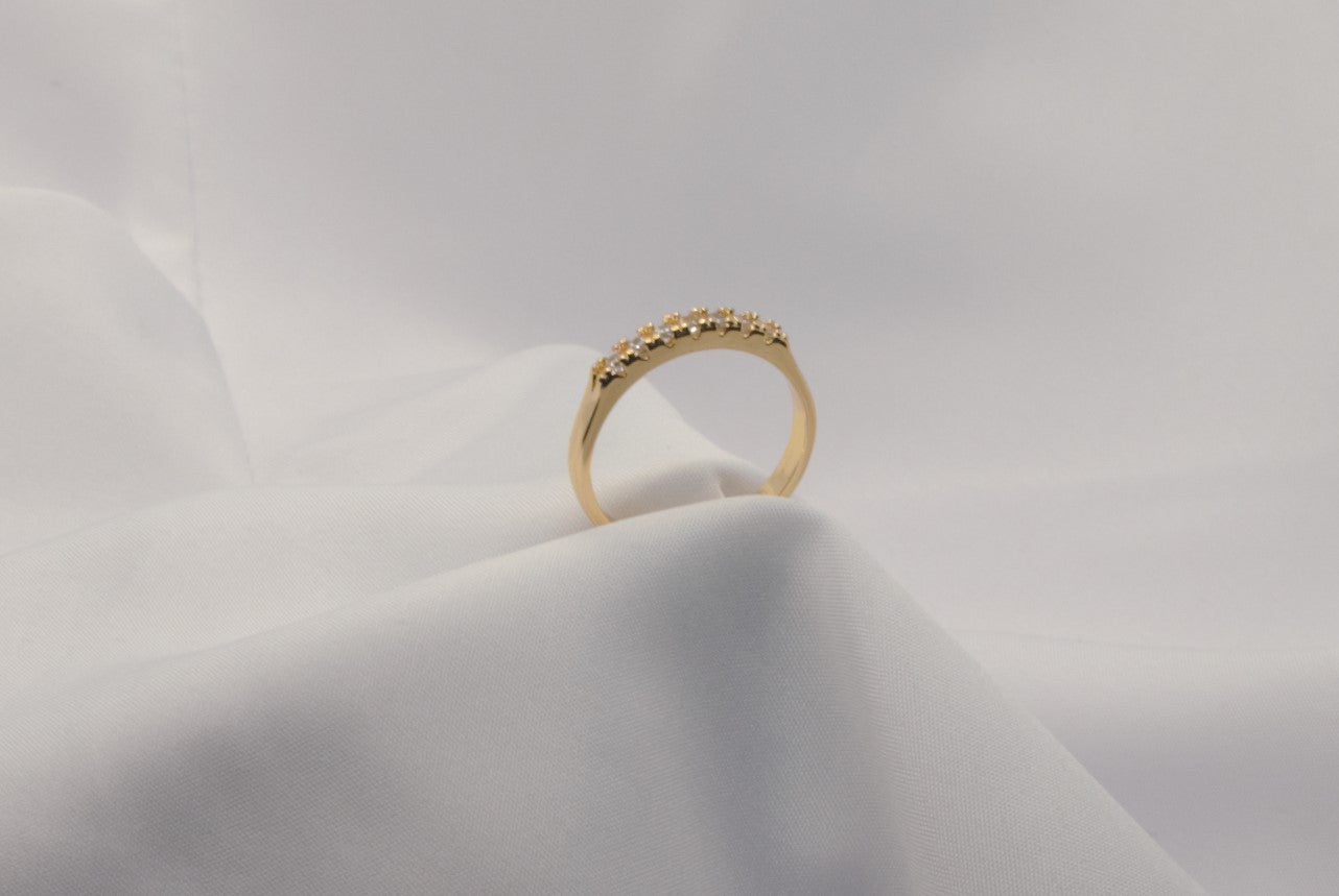 Michelle Ring