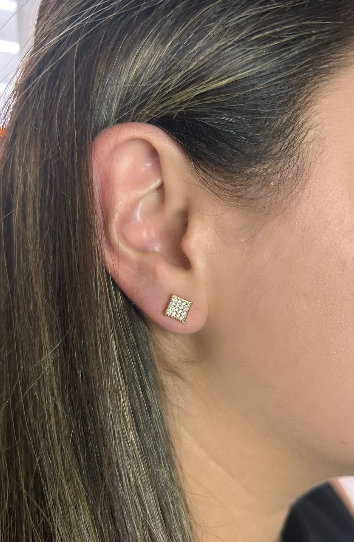 Rosa Earrings